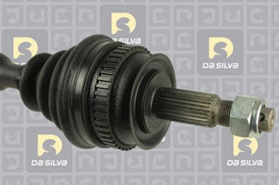 DA SILVA 10030atbis -
